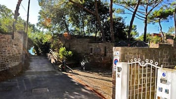 Ulkoalueet
