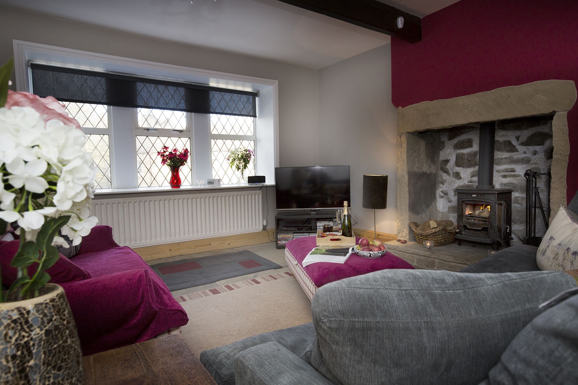 TV, fireplace, DVD player, books