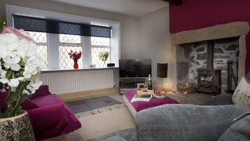 TV, fireplace, DVD player, books