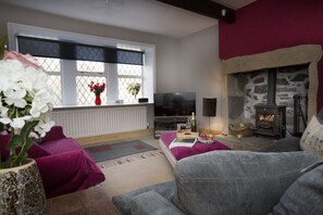 TV, fireplace, DVD player, books