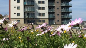 Un immeuble résidentiel à plusieurs étages, doté de balcons, d’une structure en forme de dôme et d’un jardin fleuri.