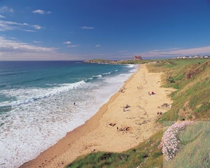 A beach with a clear sky, gentle waves, and a grassy area with flowers.
