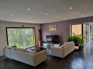 Smart TV, fireplace, video games, DVD player