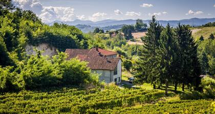 Sjarmerende hytte blant vingårdene i Monferrato