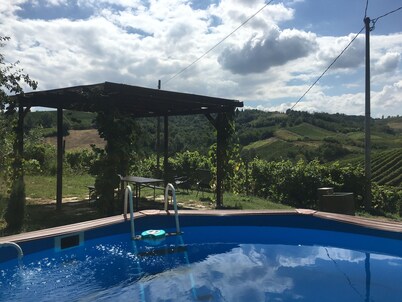 Charming private countryhouse immersed in the vineyards