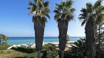 Una playa cerca