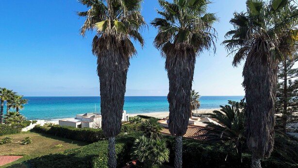Blick auf die Küste mit hohen Palmen, blauem Himmel und einem Strand, im Hintergrund sind Gebäude zu sehen.