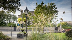 A street view with a traditional street lamp, a black metal fence, and a grassy area with tall grasses and trees.