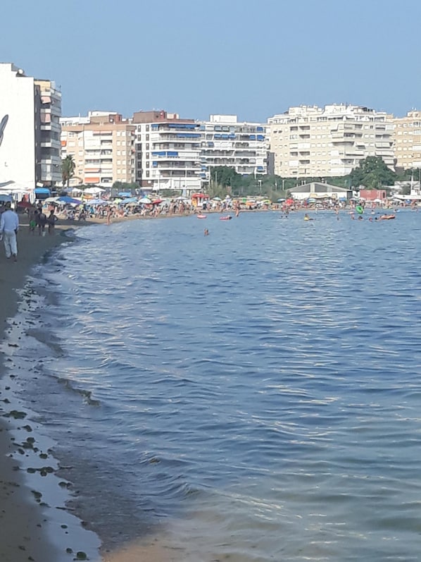 Playa en los alrededores y camastros