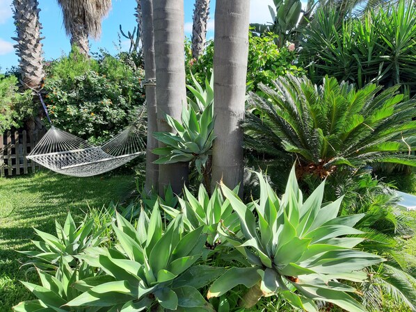 Property grounds - Beautiful apartment in a villa with swimming pool  in Syracuse (Siracusa)