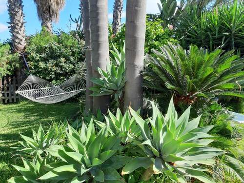 Beautiful apartment in a villa with swimming pool  in Syracuse