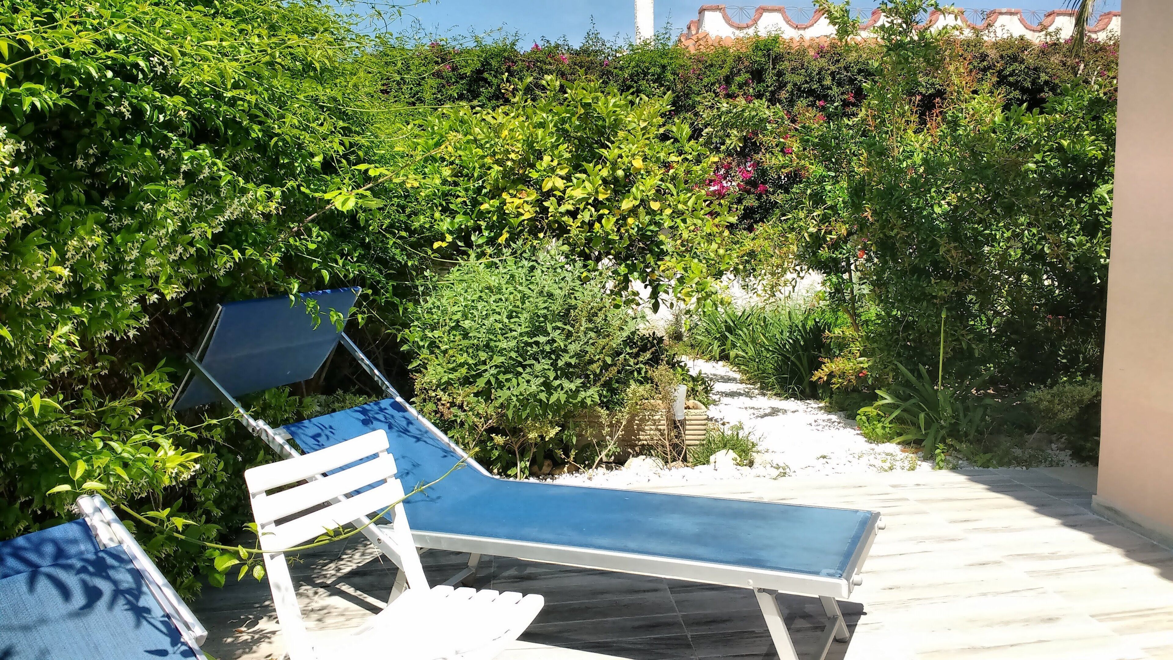 A sun lounger with a blue cushion and white frame, positioned on a tiled deck surrounded by lush greenery and a white wall in the background.