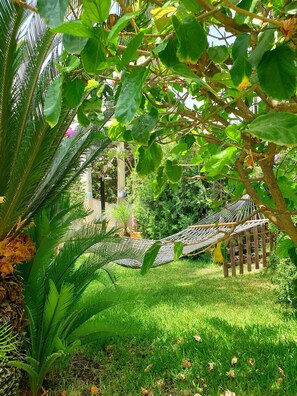 Property grounds - Beautiful apartment in a villa with swimming pool  in Syracuse (Siracusa)