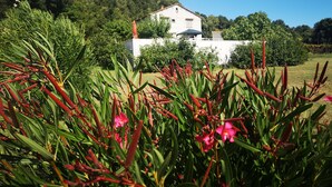 Ein weißes Haus mit rotem Dach, umgeben von üppiger Vegetation und blühenden Pflanzen.