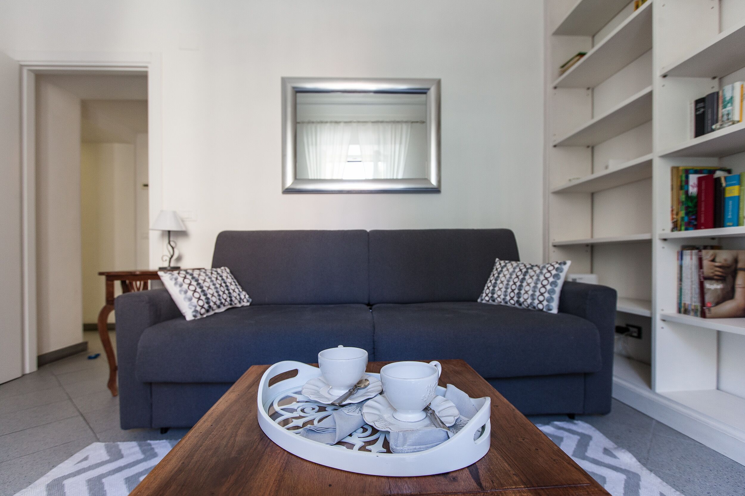 Télévision, lecteur de DVD, livres, vidéothèque