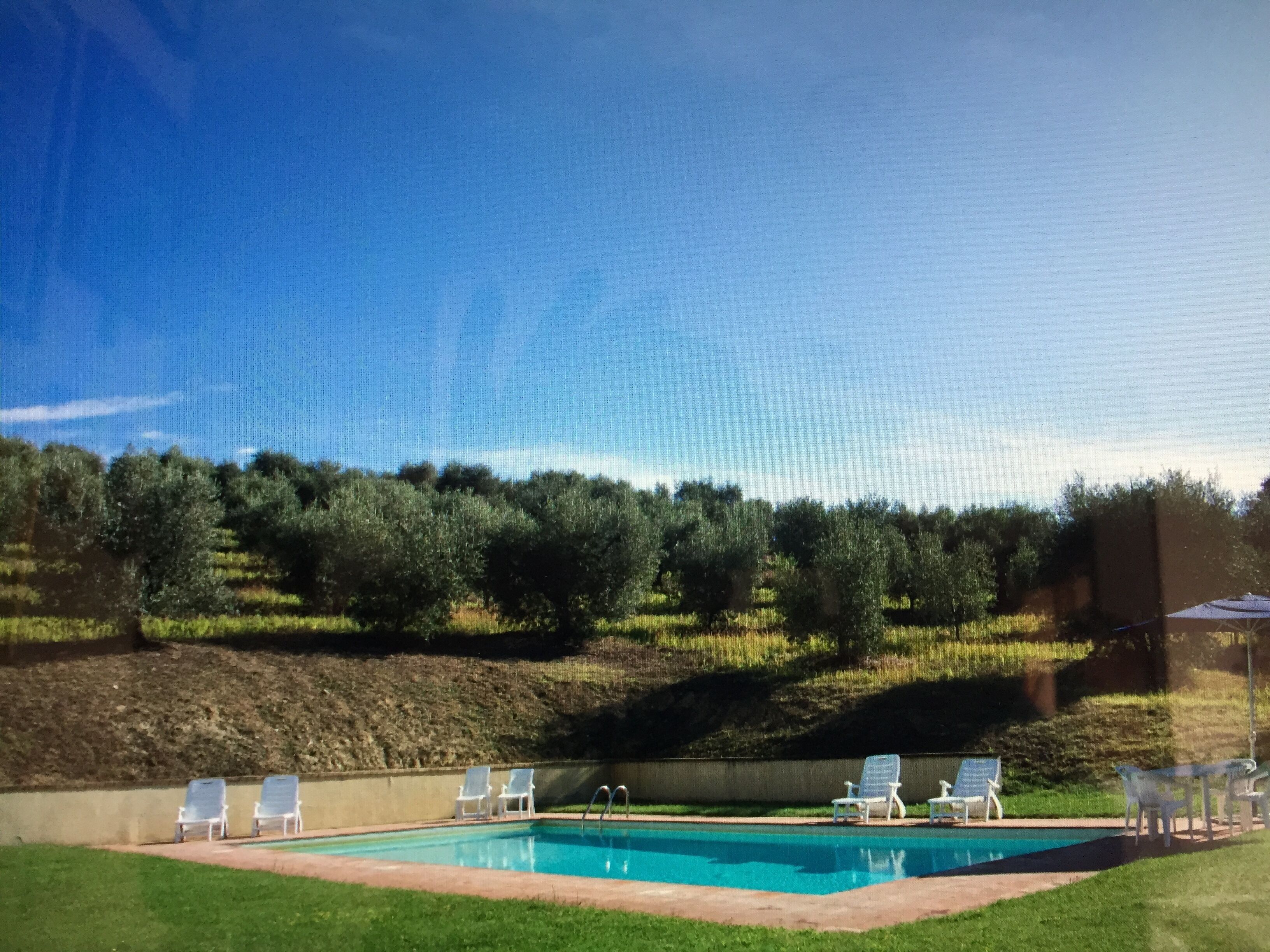 A swimming pool with white lounge chairs and a grassy area.