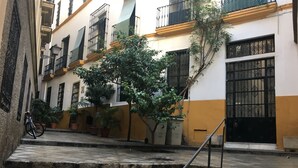 A narrow alleyway with a bicycle parked on the left, potted plants, and a staircase leading to a building with balconies and barred windows.