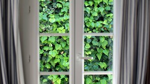 A window with a view of green foliage outside. - Beautifully renovated townhouse for 4 guests in Antibes with outdoor space. (Antibes)