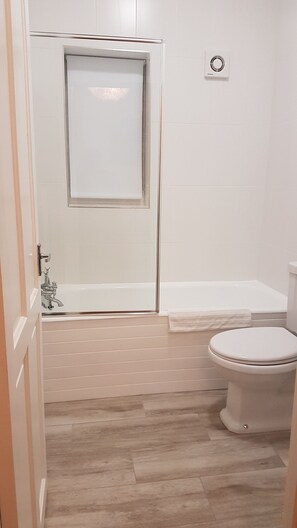 Combined shower/tub, hair dryer, toilet paper
