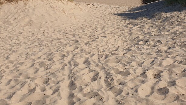 A sandy beach with dunes on either side and a clear blue sky.