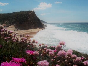 Un paisaje costero con una playa arenosa, un acantilado y flores rosadas en primer plano.