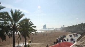 Une plage bordée de palmiers, un parasol rouge et une promenade animée.