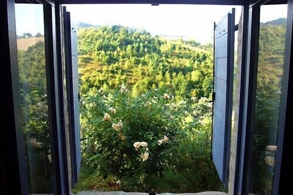 Blick aus dem Fenster im August