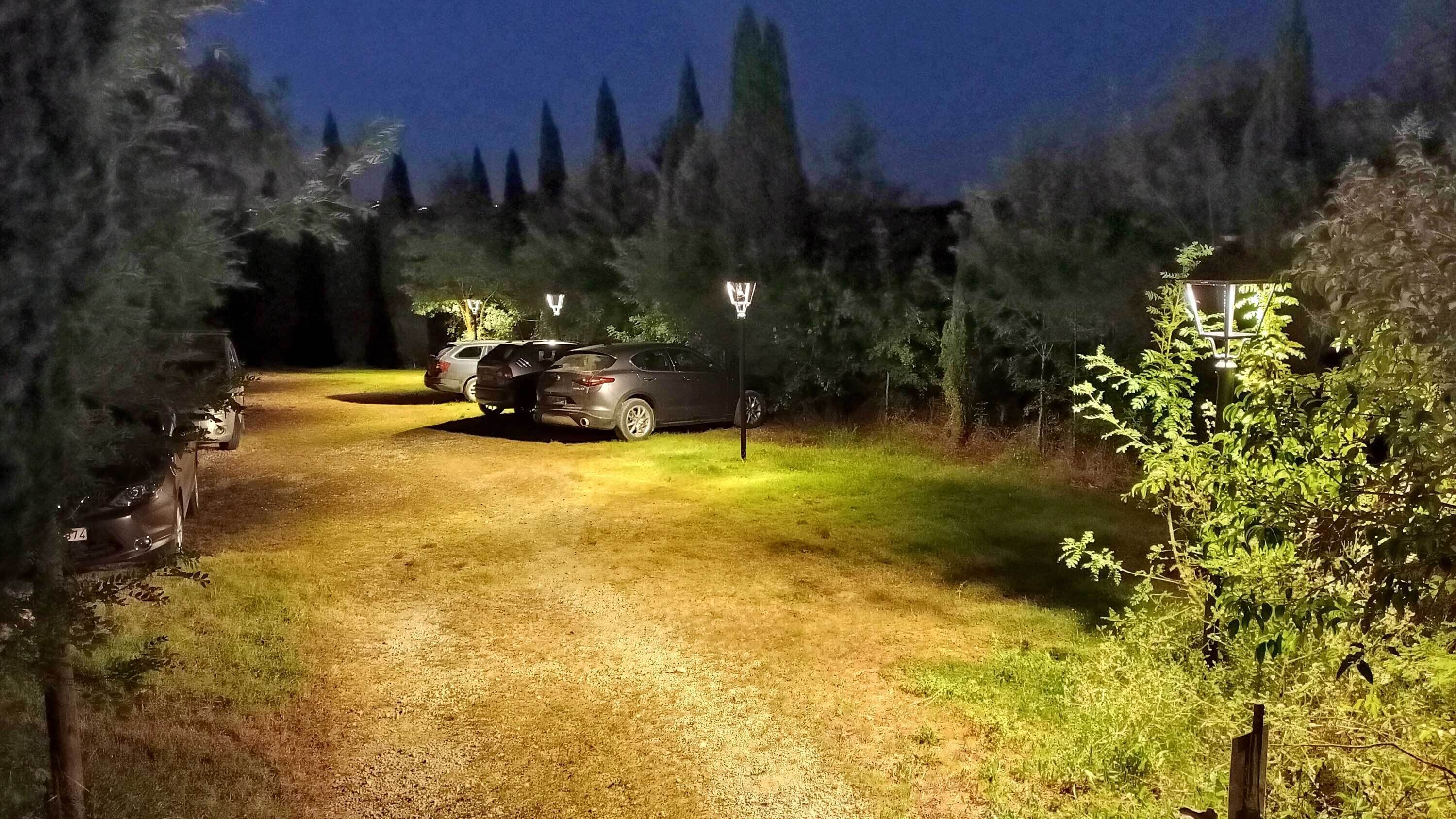 En grusvej fører hen til parkerede biler i et skovområde med lygtepæle.