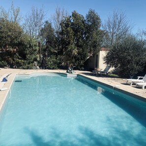 Pool - La Salvetat Saint Gilles: House / Villa - LA SALVETAT ST GILLES (La Salvetat-Saint-Gilles)