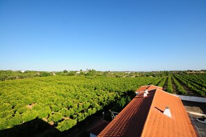 Vue depuis l’hébergement