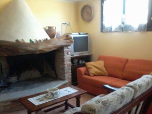 TV connectée, cheminée, lecteur de DVD, livres