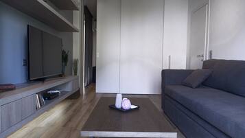 Smart TV, DVD player, books, music library