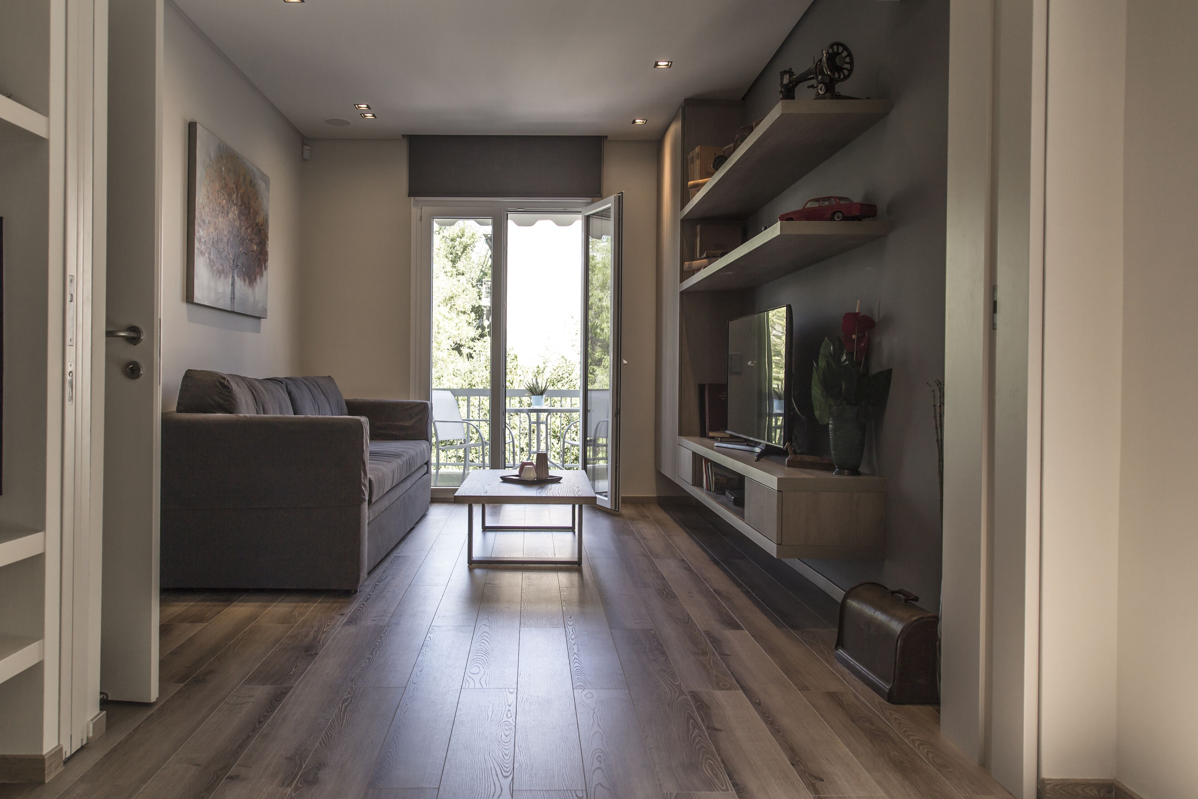 Smart TV, DVD player, books, music library