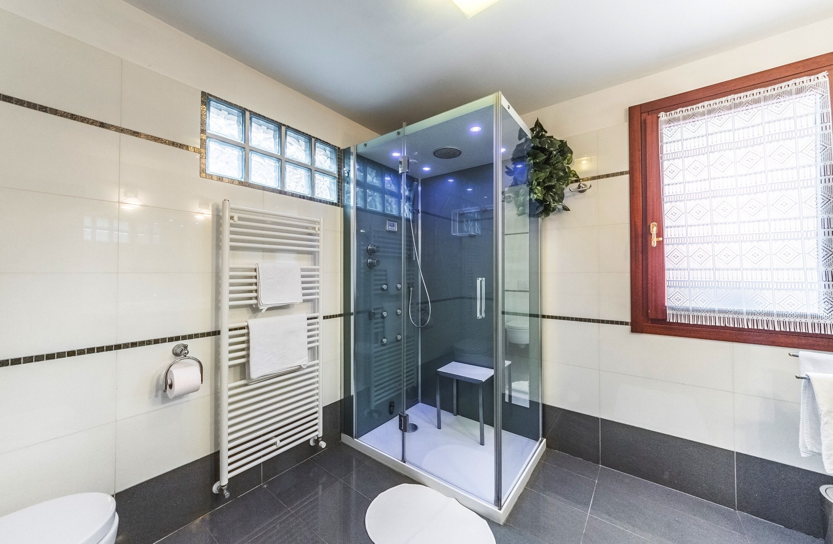 Shower, hair dryer, bidet, towels