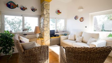 TV, DVD player, books, video library