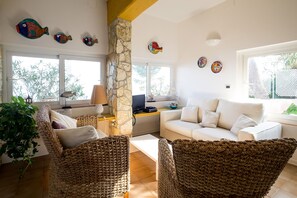 TV, DVD player, books, video library