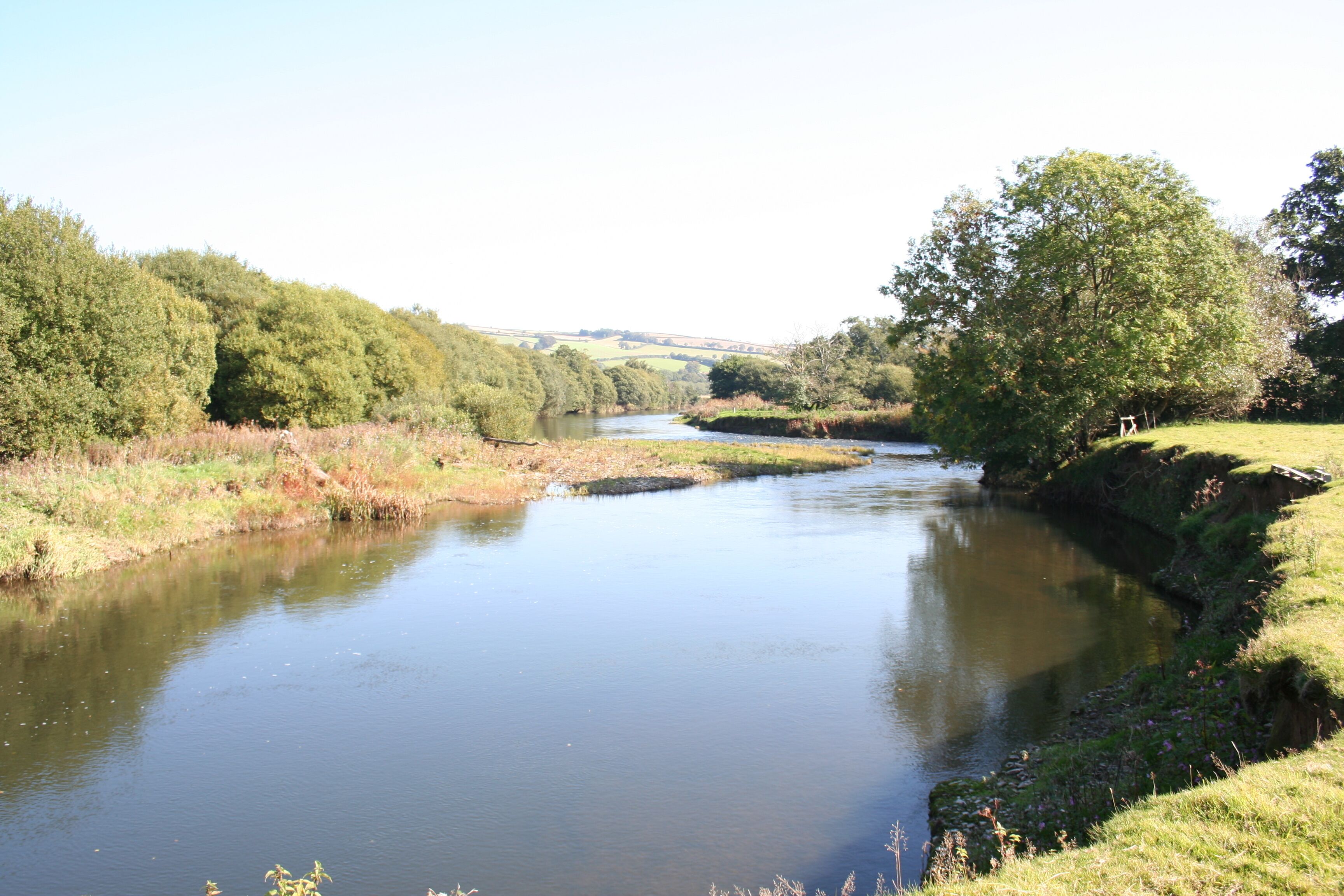 Ein Fluss, der durch eine grüne Landschaft mit Bäumen und Gras an beiden Ufern fließt.