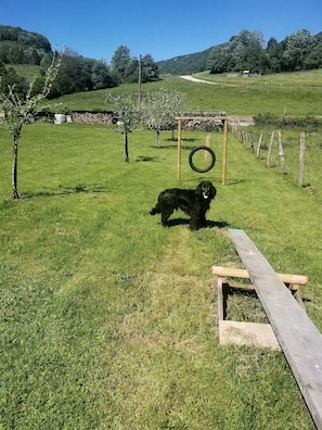 Property grounds - Very beautiful 3* Cottage on the riverside, quiet in a green setting (Nans-Sous-Sainte-Anne)