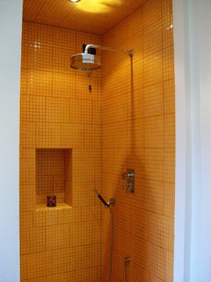 Combined shower/tub, hair dryer, bidet, towels