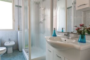 A bathroom with a shower, bidet, sink, and mirror.