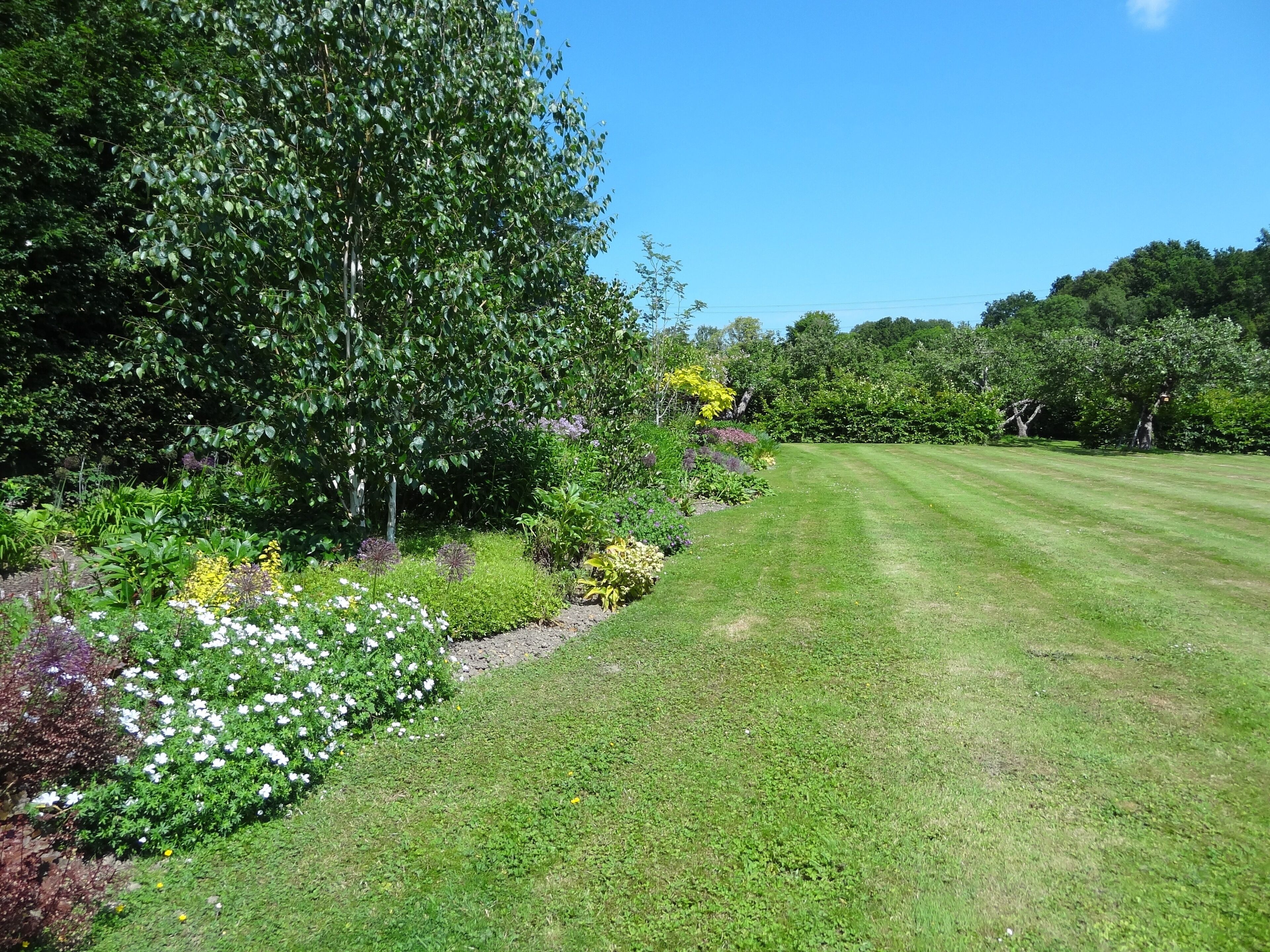 Un jardin bien entretenu, agrémenté de diverses plantes à fleurs et d’une pelouse soigneusement taillée.