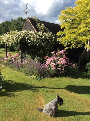 Een tuin met een prieel, verschillende bloeiende planten en een hond.