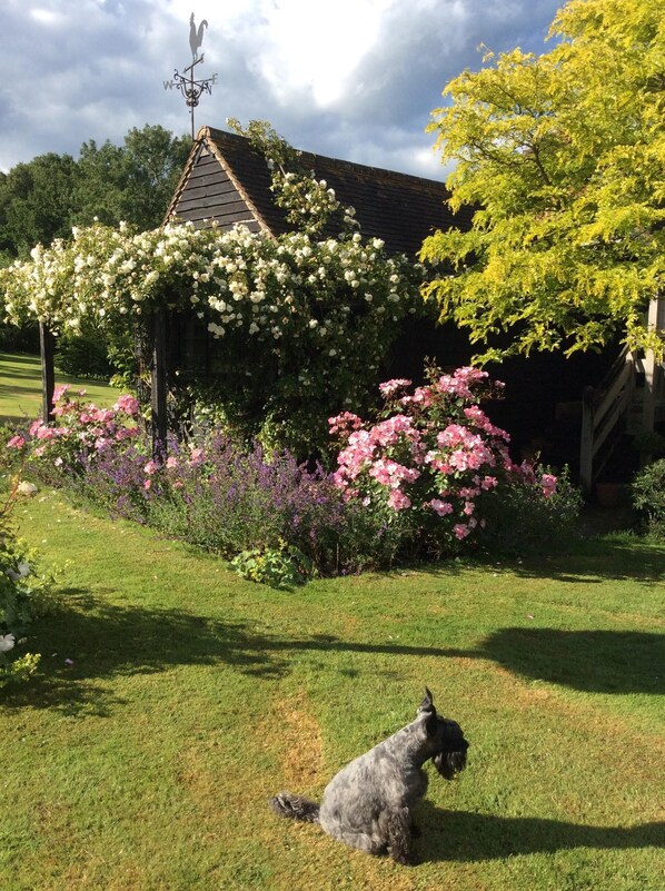 Property grounds - Character Country Retreat with no contact check in/out, in historic 1066 country (Broad Oak)