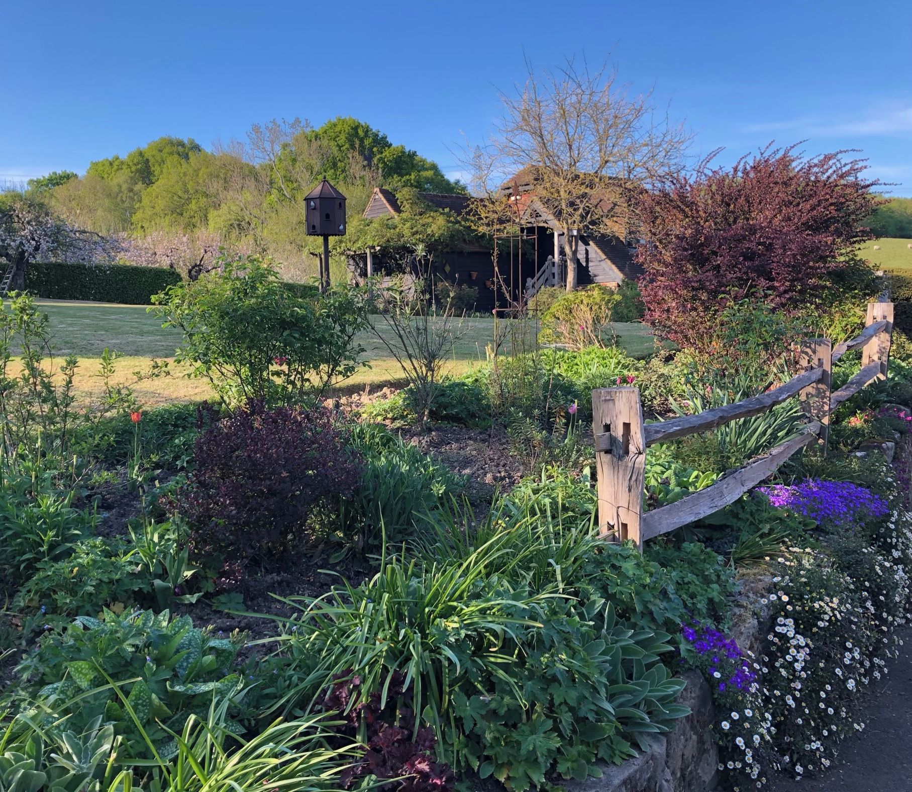 A garden with various plants and a birdhouse.
