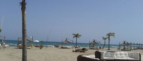 Lettini da mare