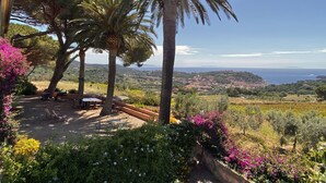 Un jardín con palmeras, una mesa y sillas, con vistas al paisaje costero.