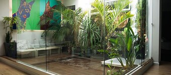 Exclusive house a few meters from the beach