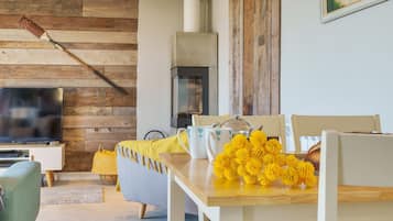 Una Smart TV, una chimenea, videojuegos, libros