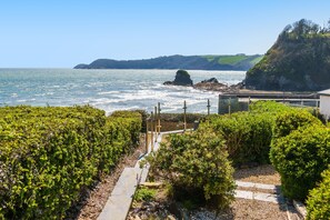 A coastal landscape with a vineyard, a stone pathway, and a view of the sea and cliffs.