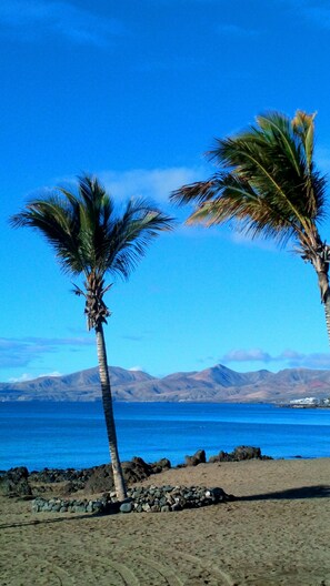 Playa en los alrededores, camastros y toallas de playa 